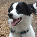 Keefe was adopted in August, 2005